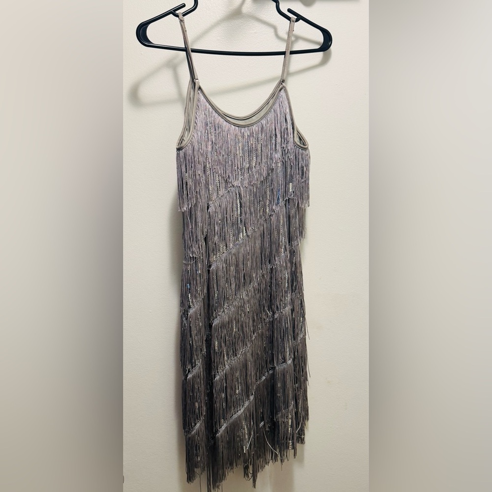 Silver Fringe Sequin Dress
